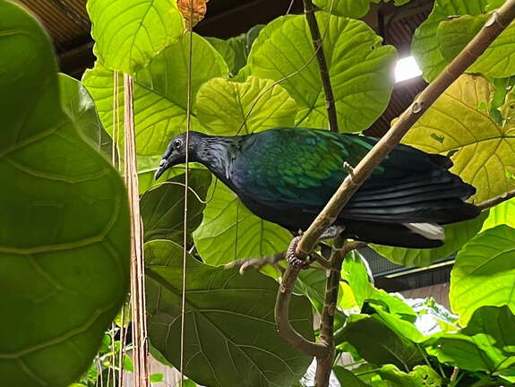 24-12-06 13-35-14 1635